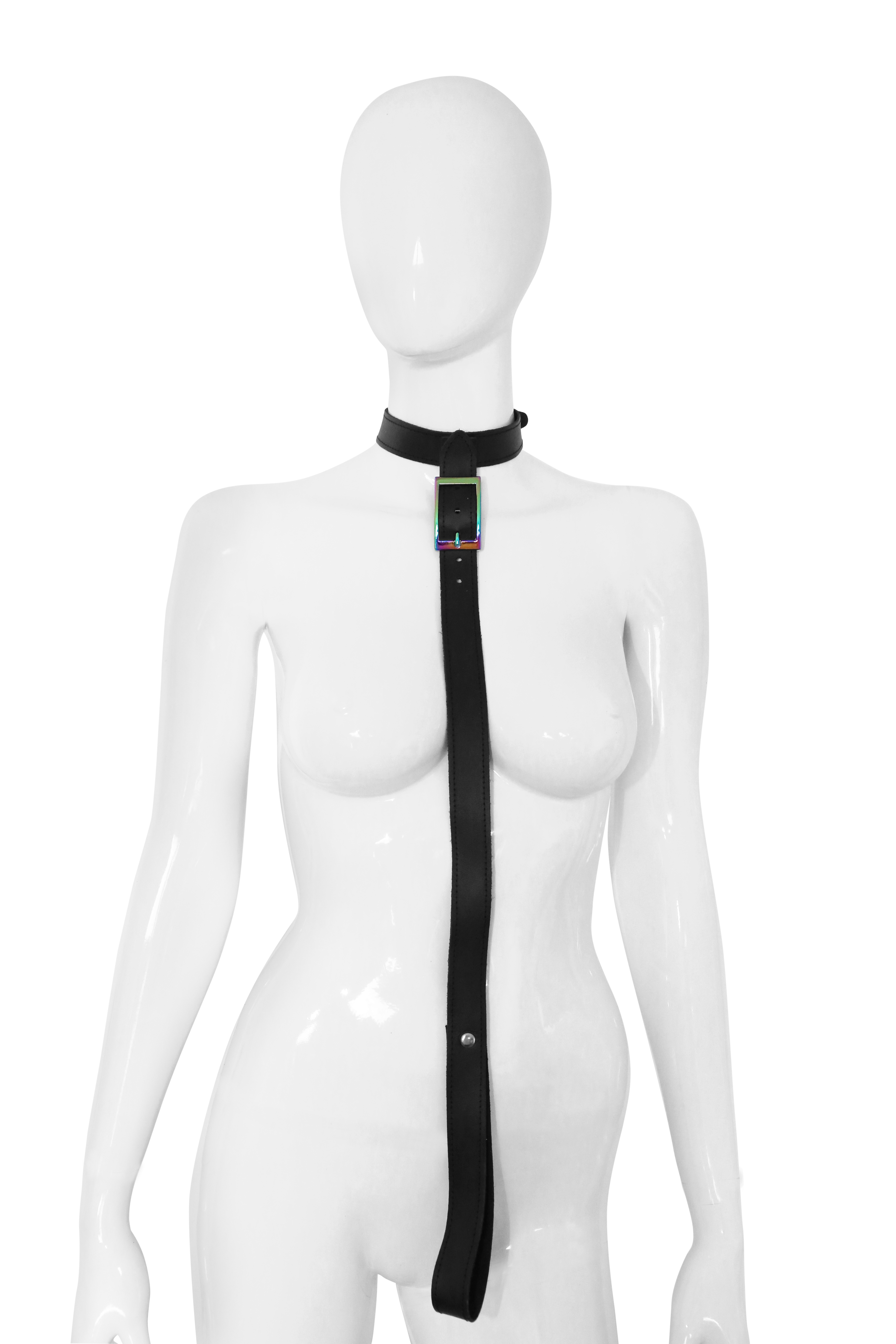 Halsfessel mit Leine Rainbow