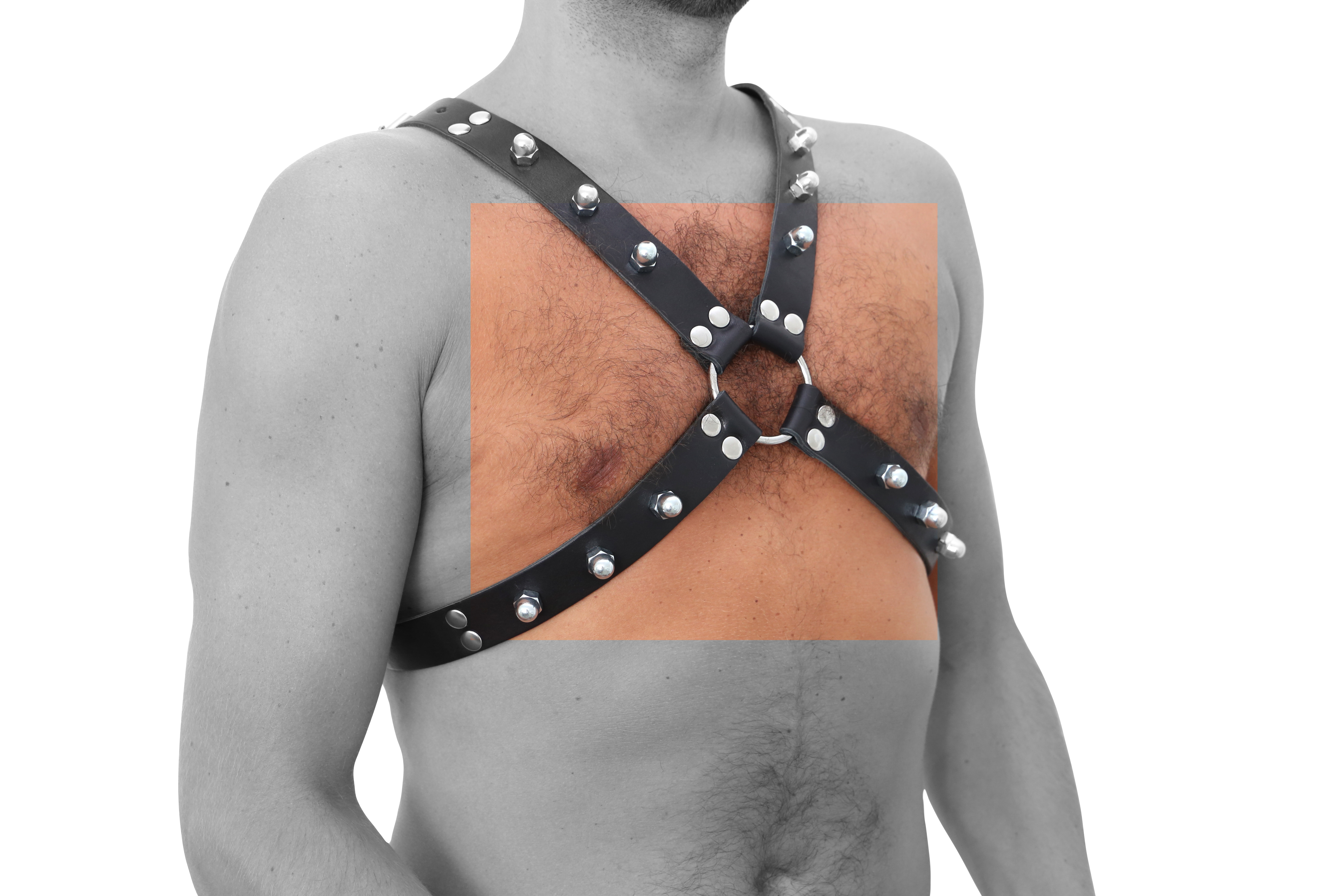 Harness Hard Series