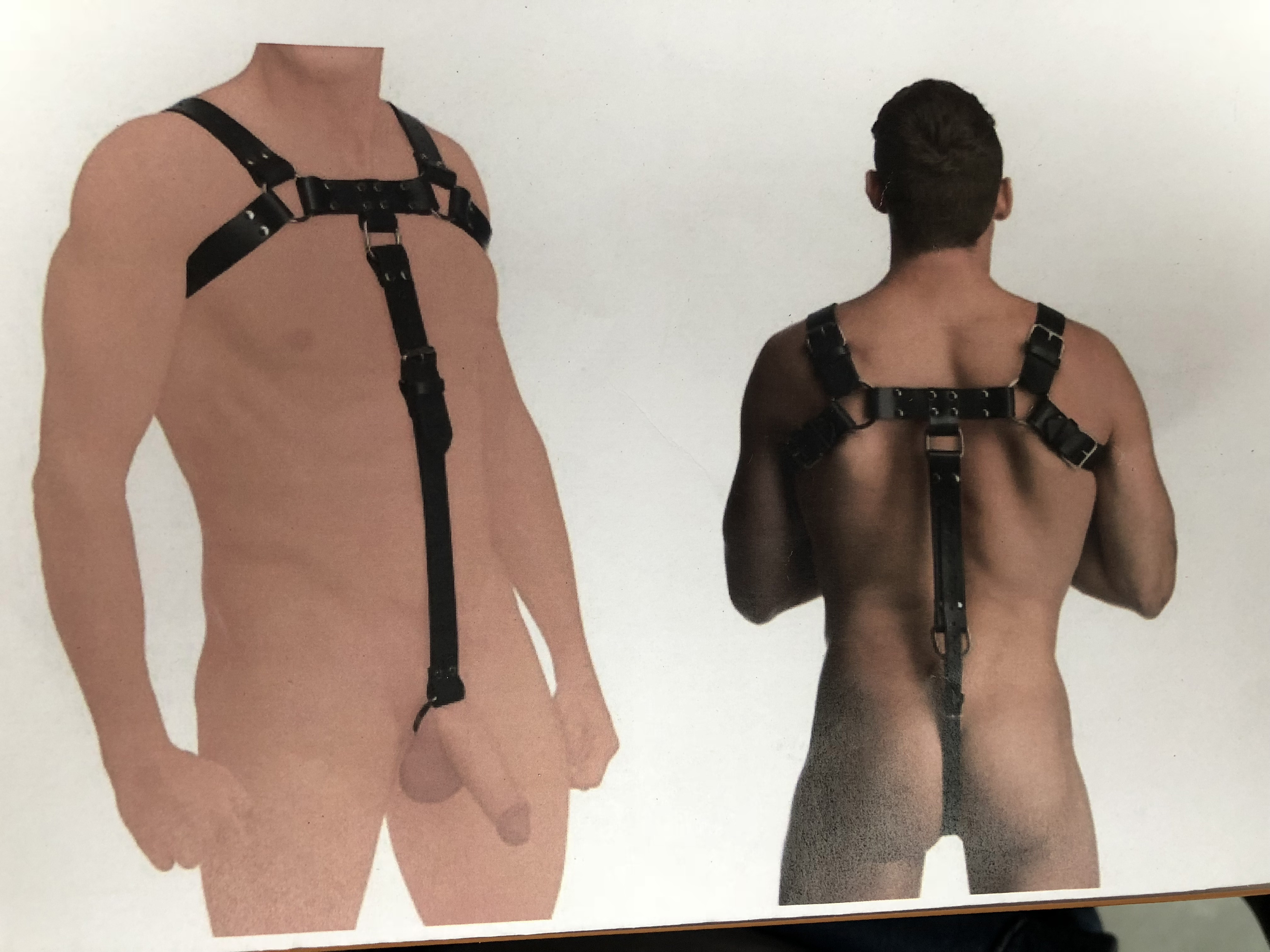 Harness mit Verbindungsgurt und Penis/Hoden Ring